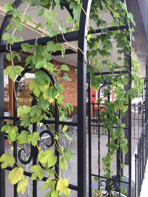 The Hairless Hare-Vandalia必去景点