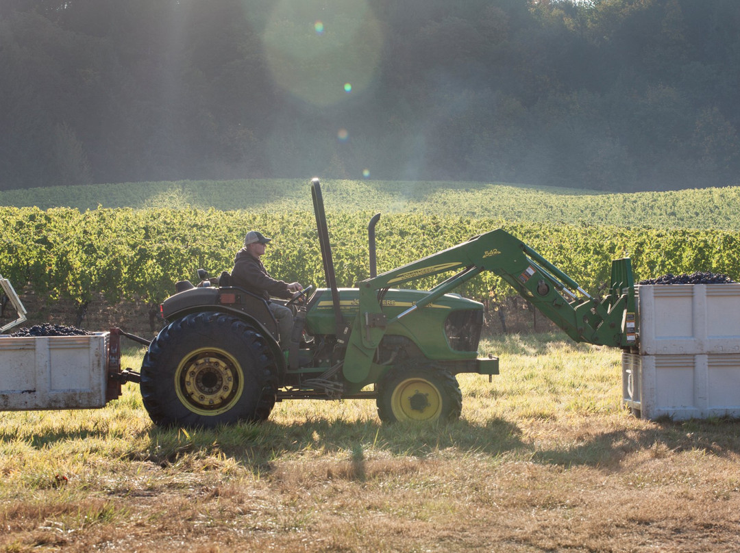 Elk Cove Vineyards-Gaston必去景点