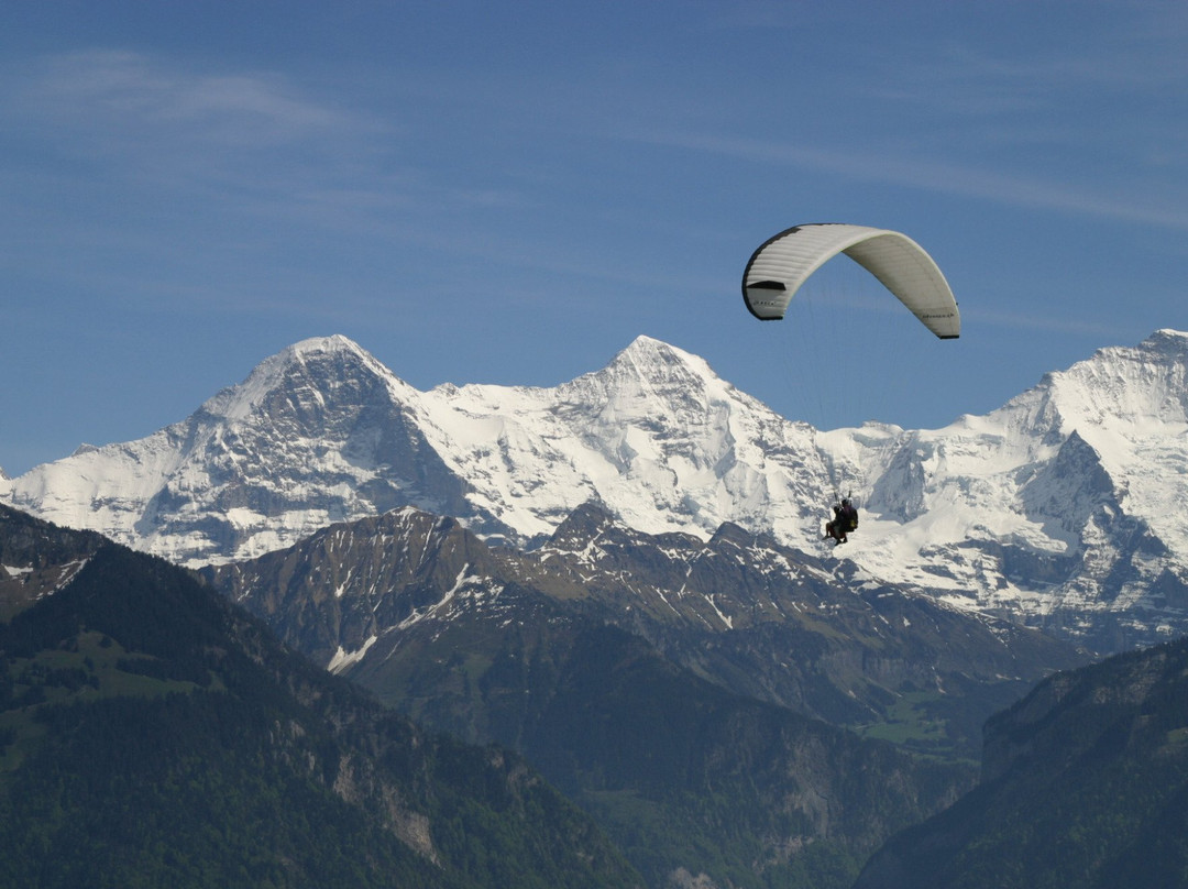 Twin Paragliding景点图片