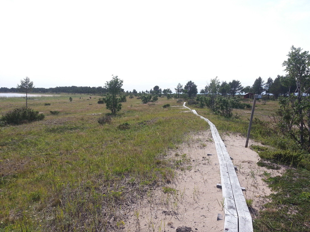 Haparanda Skärgård Nationalpark-Haparanda必去景点
