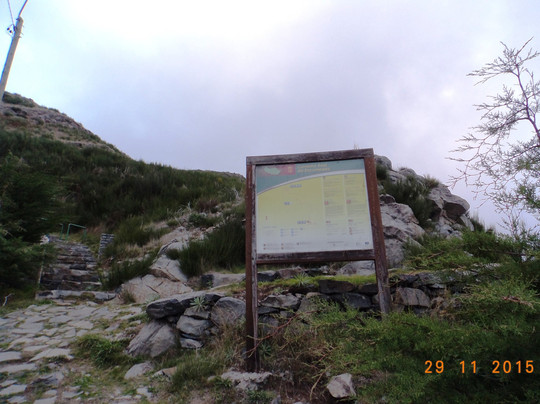 Madeira's Magic Tours