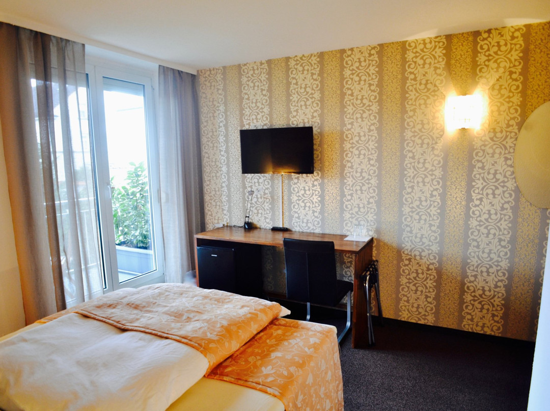 Art-Hotel Weingarten主图