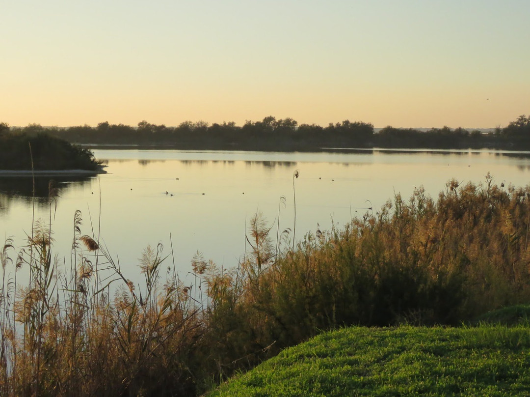 Laguna del Tarelo景点图片