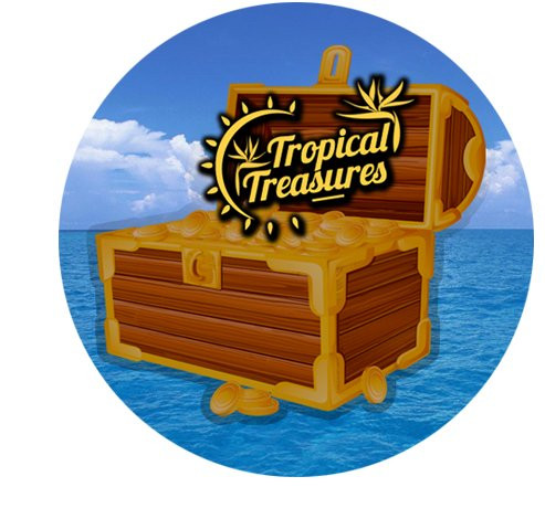 Tropical Treasures-马德拉群岛必去景点