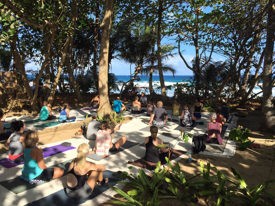 Barefoot Yoga P.r.-吕康必去景点