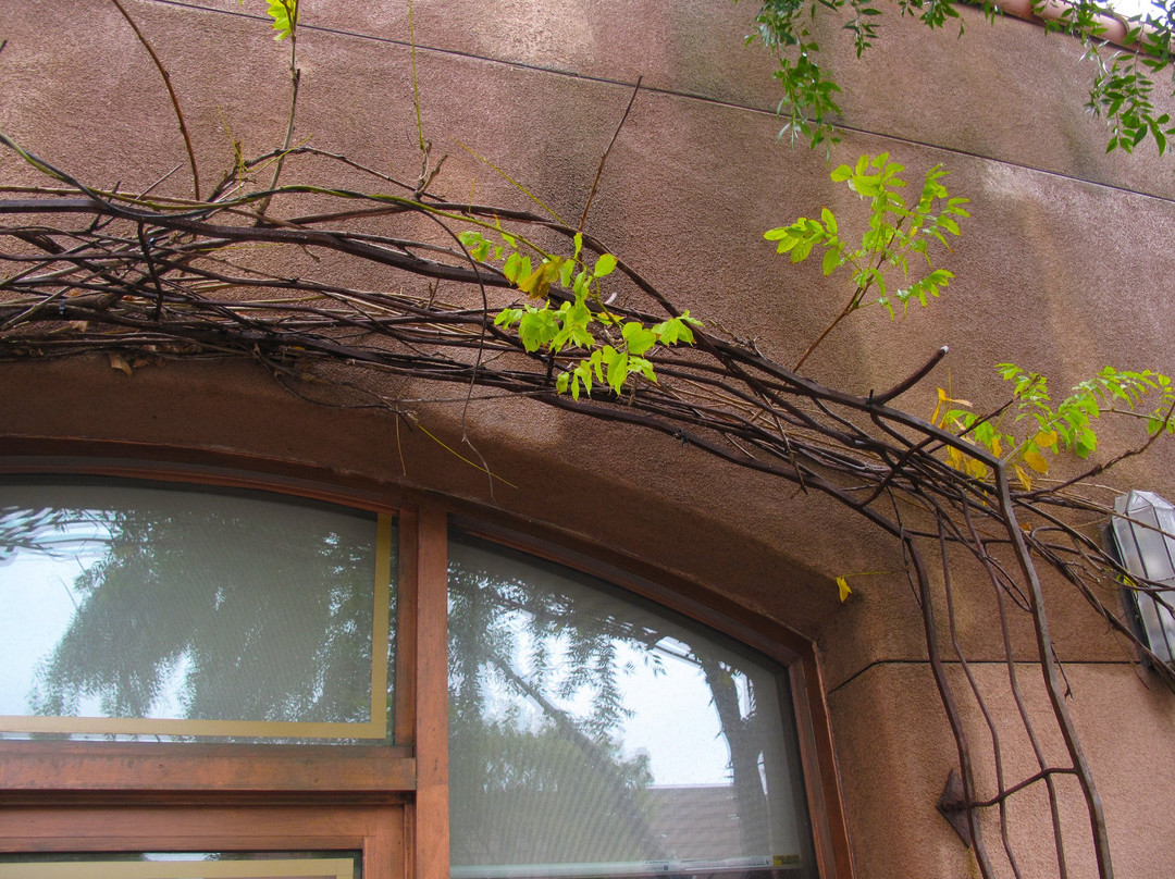 Barterra Winery-半月湾必去景点