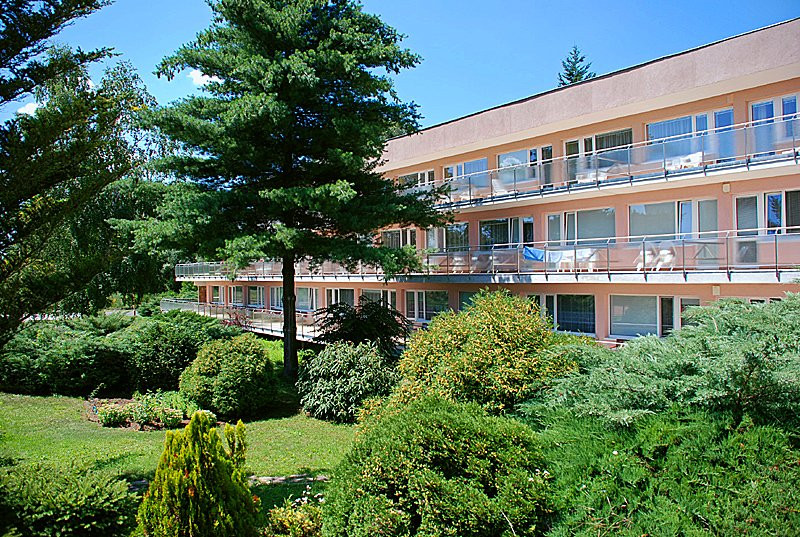 Hotel Flora主图