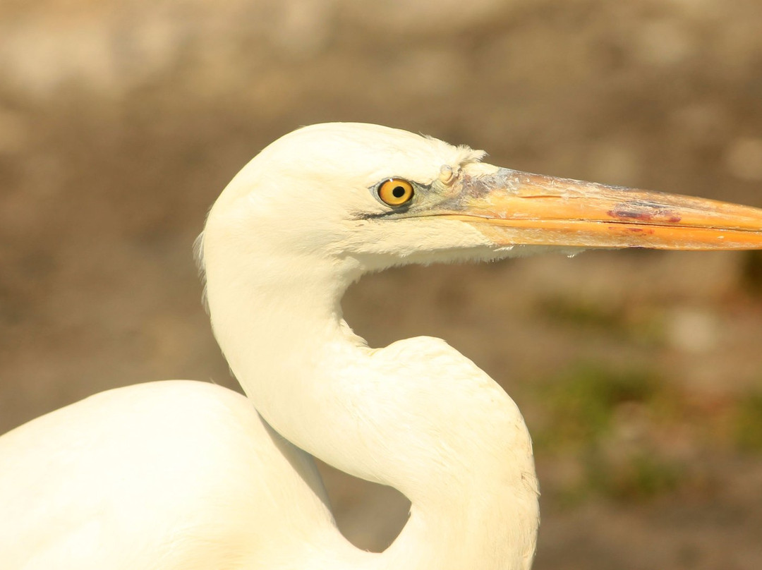 Under The Sun Tours-庞帕诺比奇必去景点