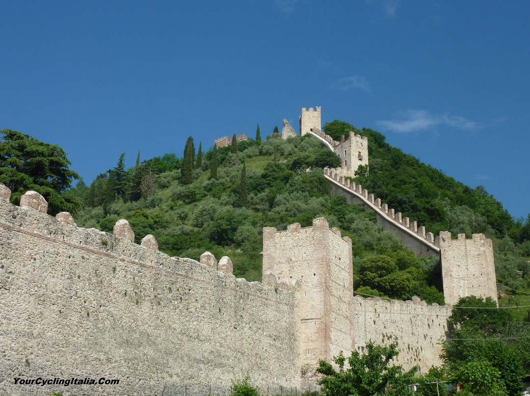 Your Cycling Italia Bicycle Tours景点图片