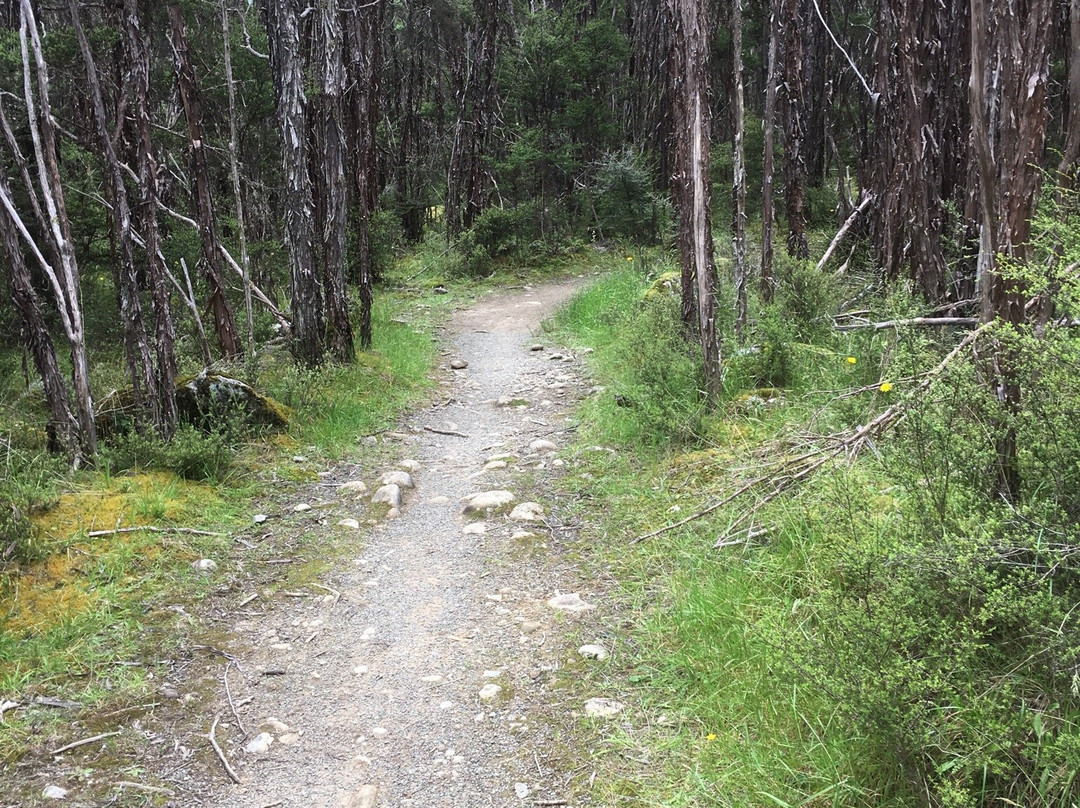 Teetotal Mountain Bike Tracks景点图片