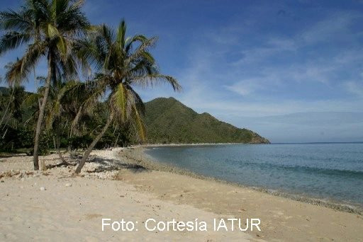 Playa de Cuyagua景点图片