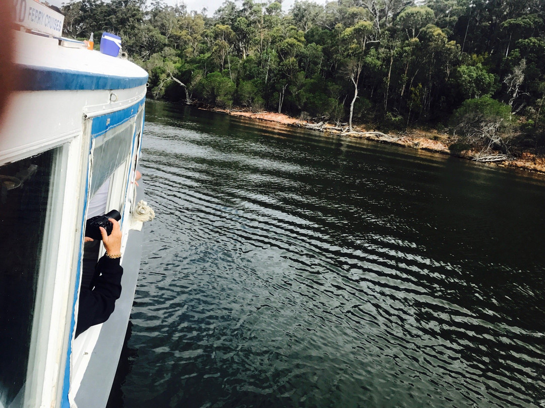 Mallacoota Cruises景点图片