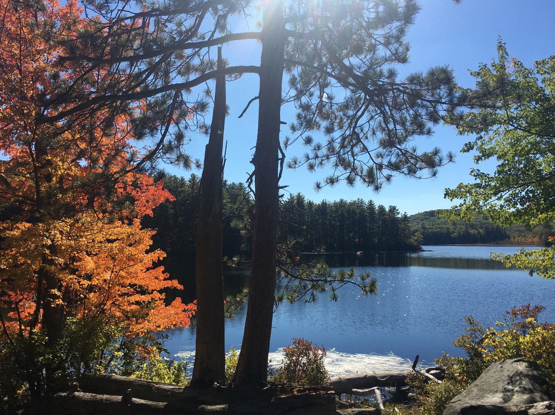 Bear Brook State Park景点图片