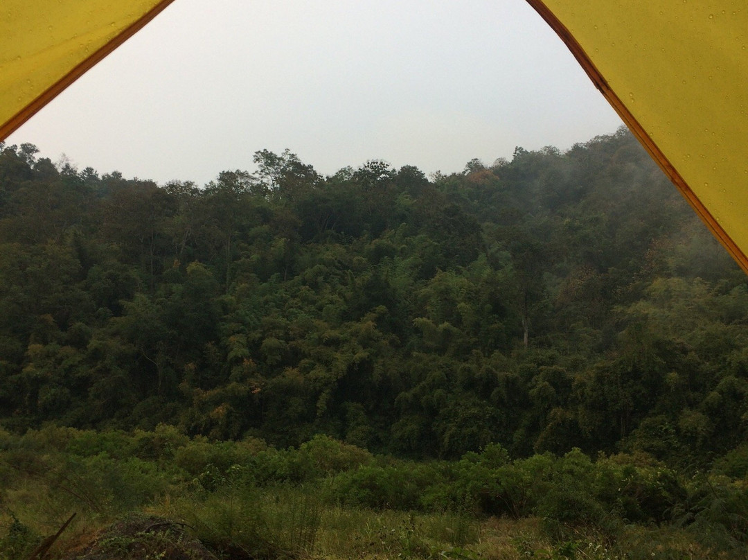 Mae Yom National Park景点图片