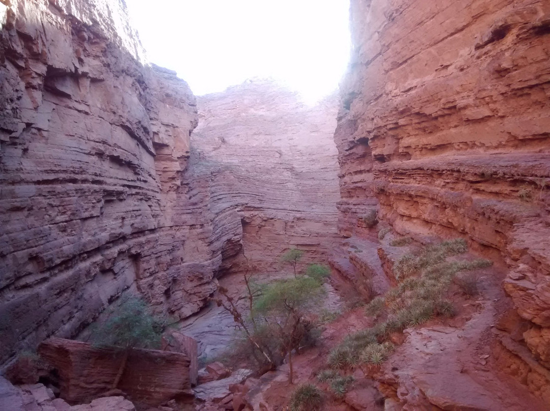 Silvia Magno Viajes & Turismo-萨尔塔必去景点