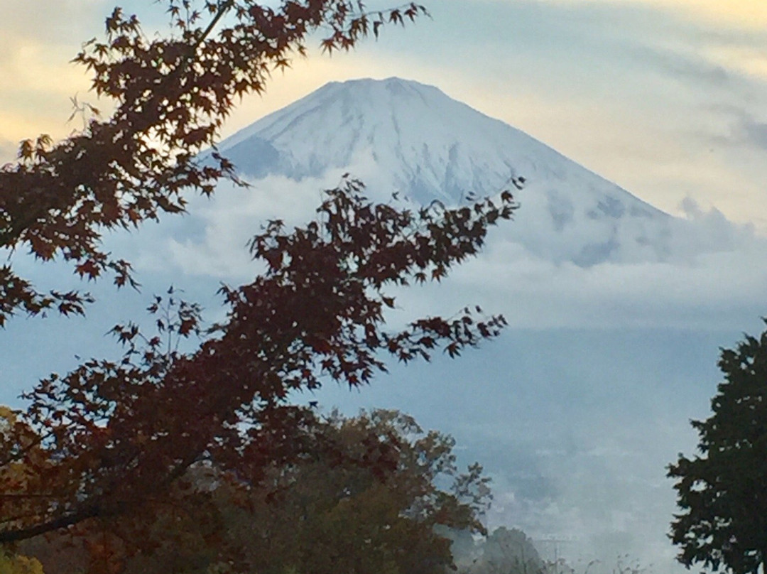 Lake Higashiyama Fishing Area景点图片