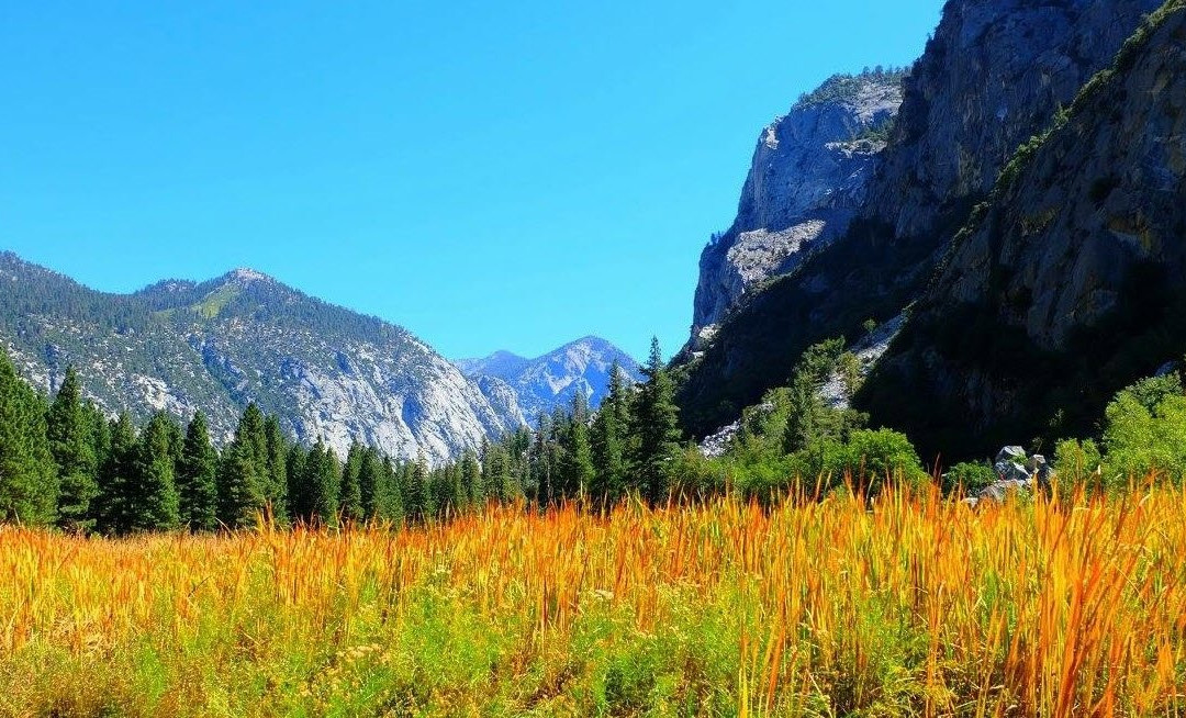 Mineral King Valley-红杉&国王峡谷国家公园必去景点