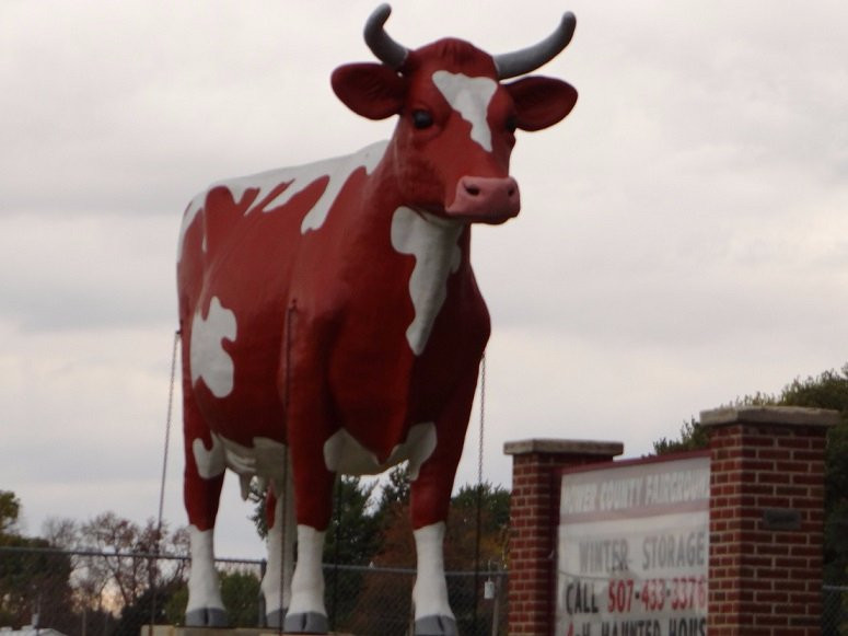Buffy The Cow景点图片