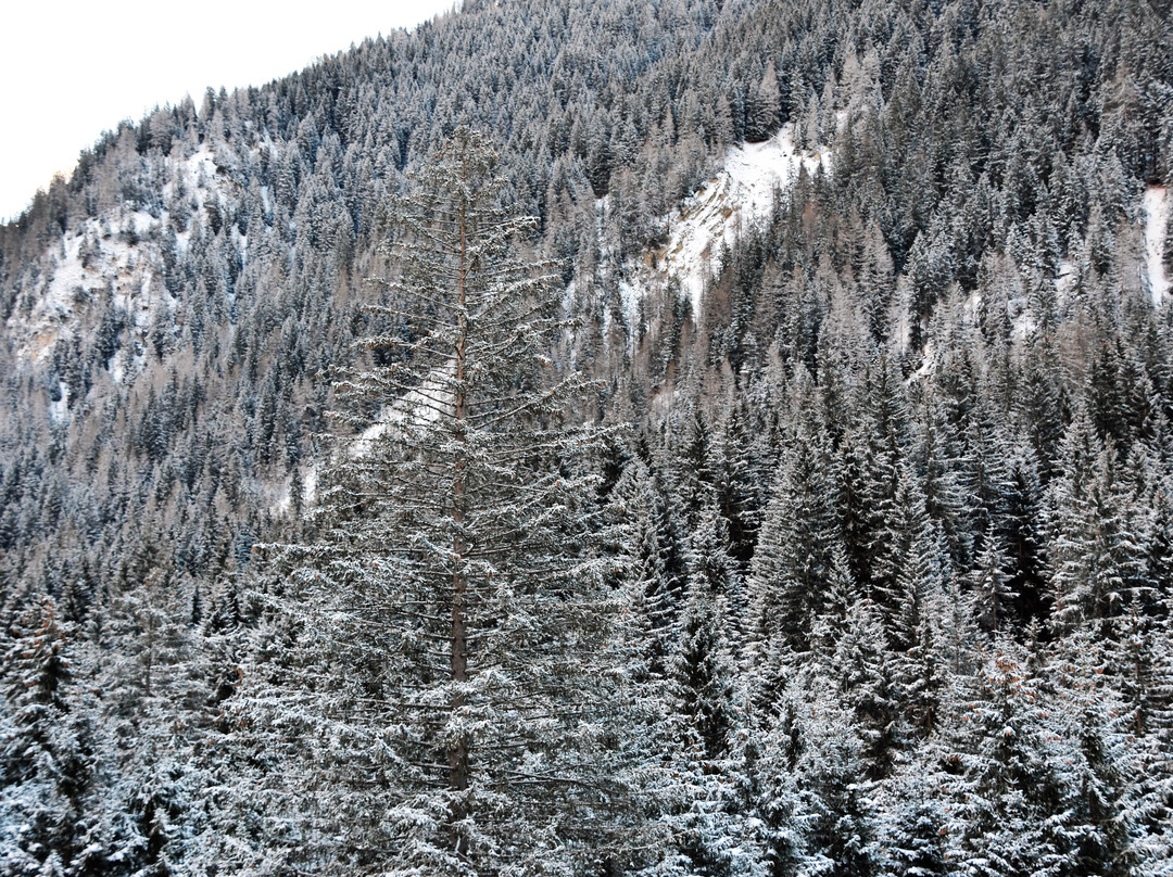 克丽斯塔罗酒店主图