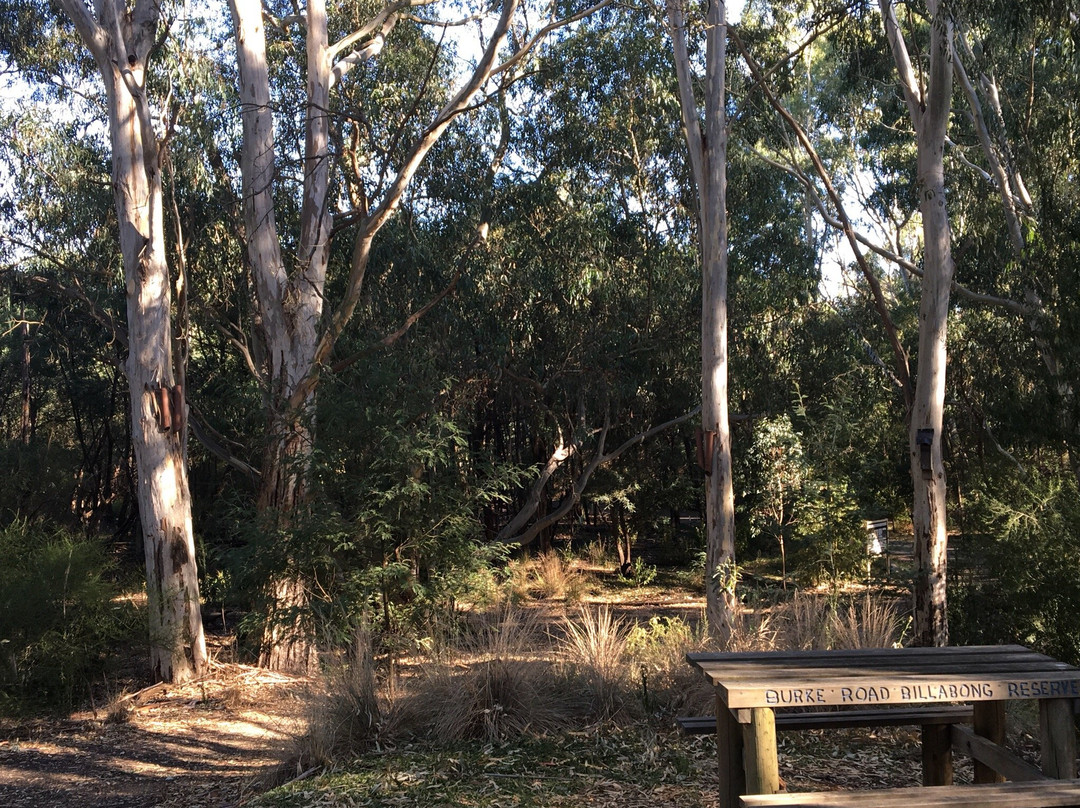 Burke rd billabong reserve-Kew East必去景点