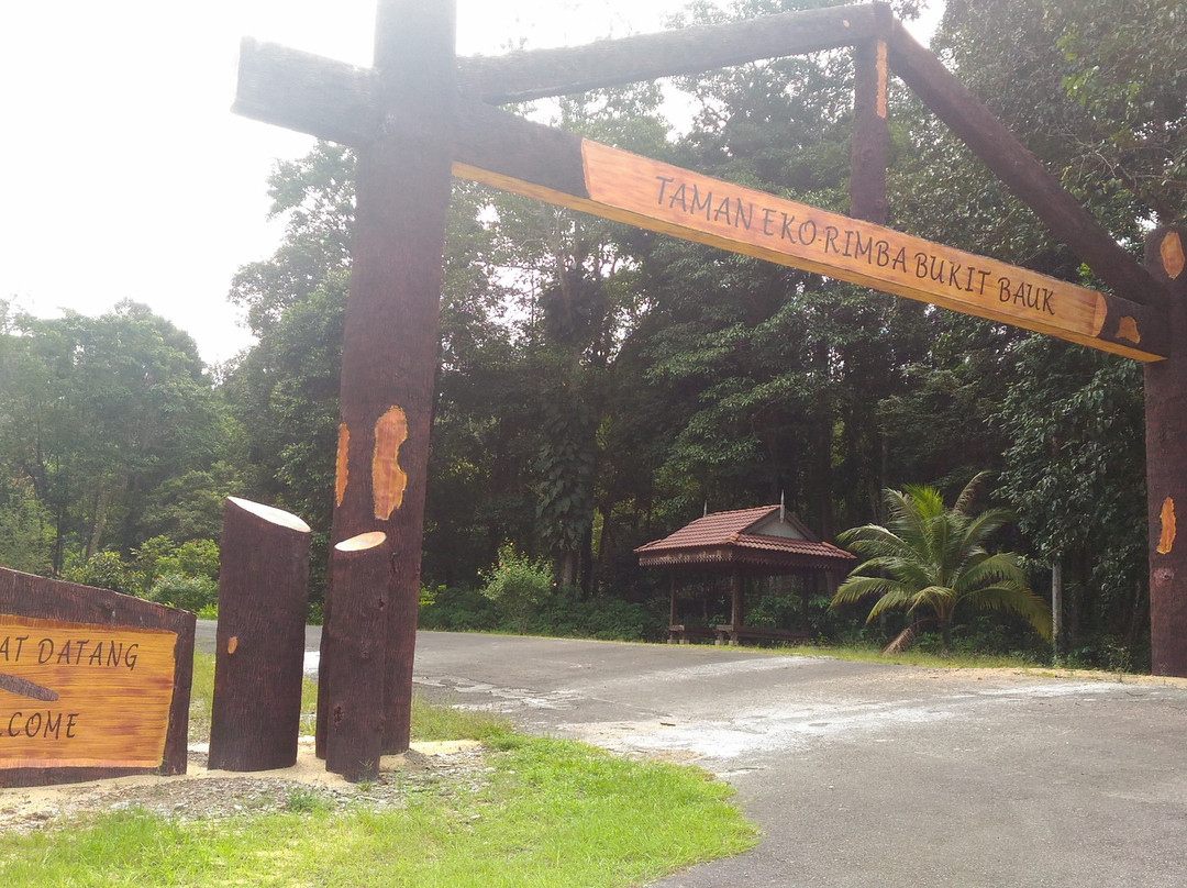 Rimba Bandar Bukit Bauk景点图片