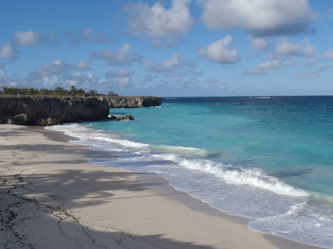 Cave Bay-Bottom Bay必去景点