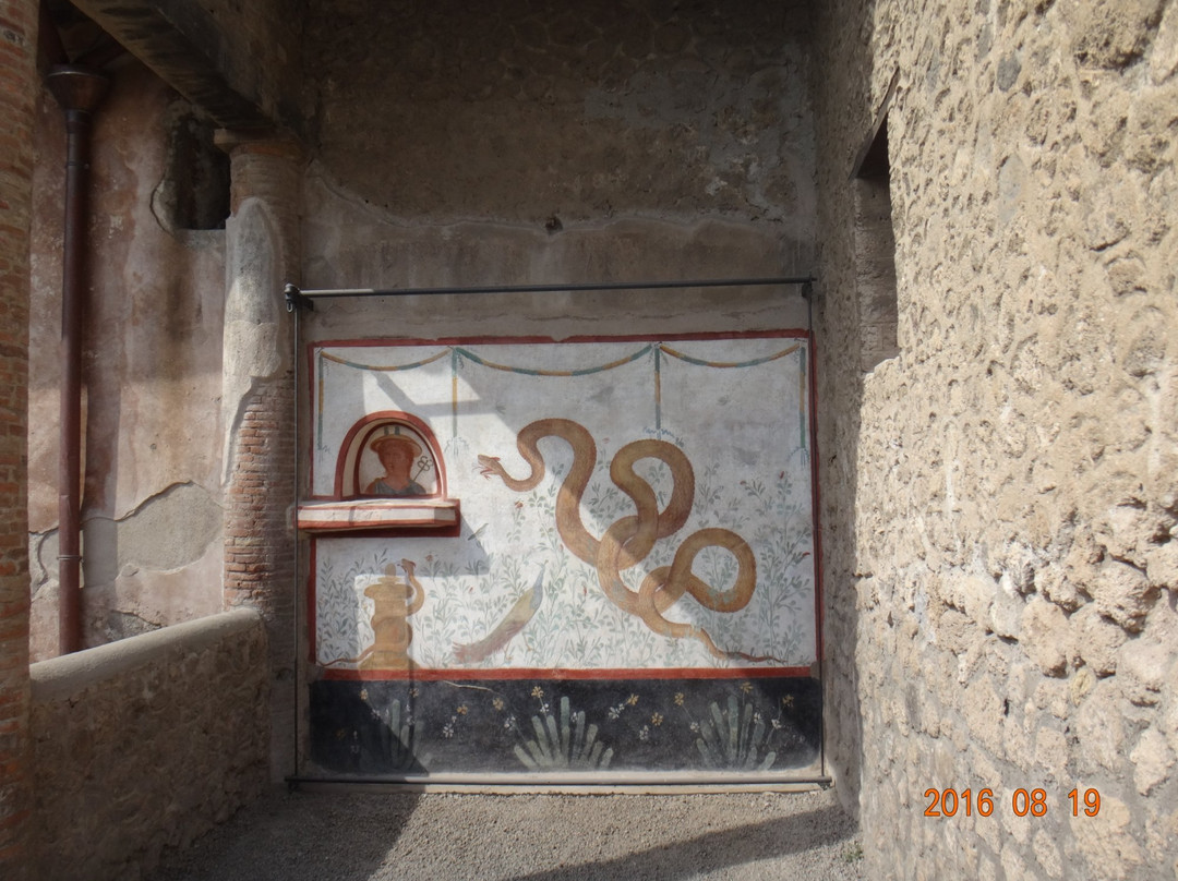 House of the Cryptoporticus-庞贝必去景点