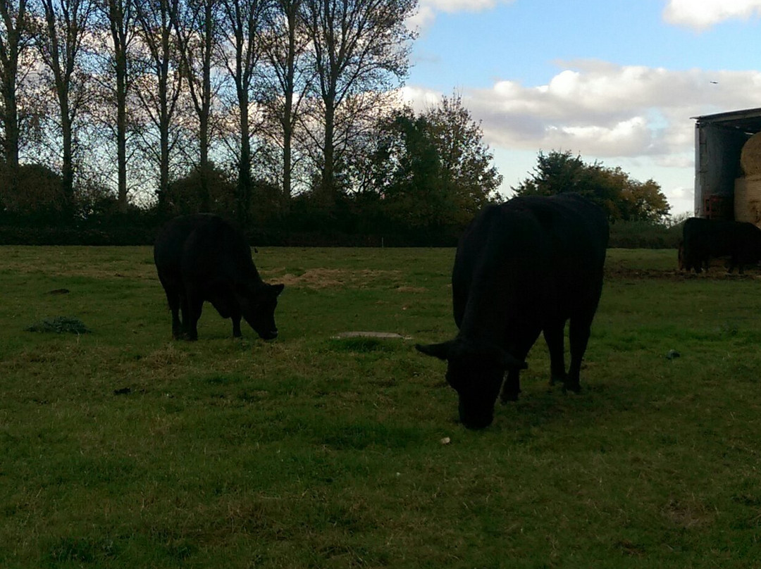 Apple View & Bramley Lodge主图