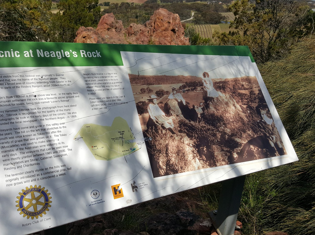 Neagles Estate-克莱尔必去景点