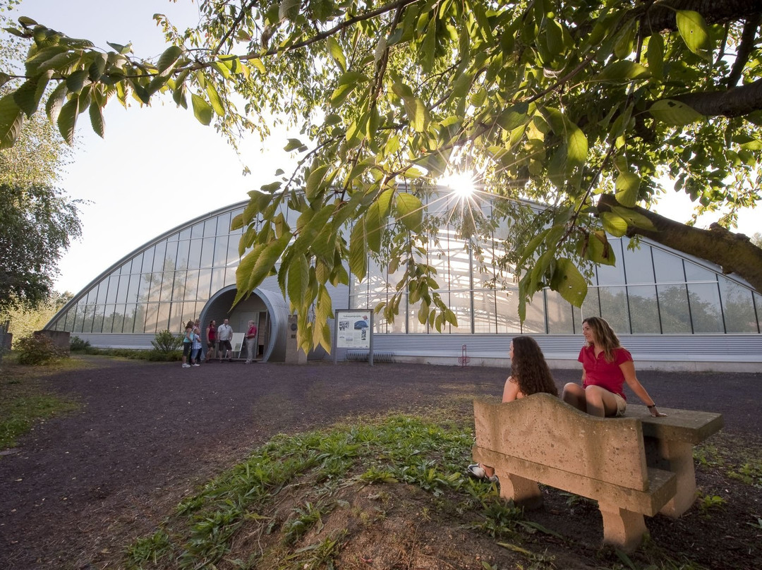 Roman Mine at Meurin-Kretz必去景点