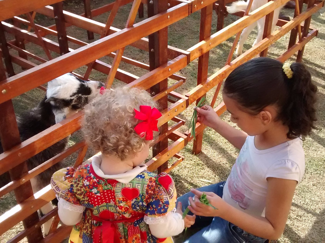 Mini Fazenda Nose-Cotia必去景点