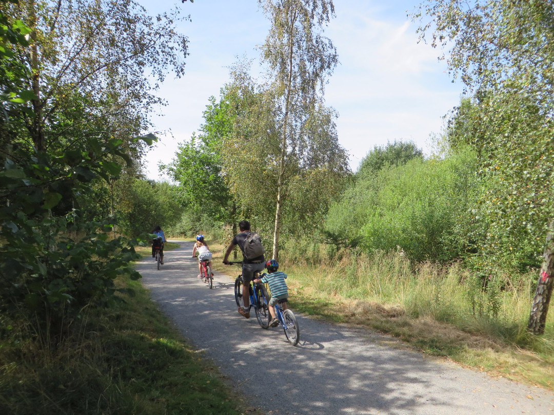 National Forest-Swadlincote必去景点