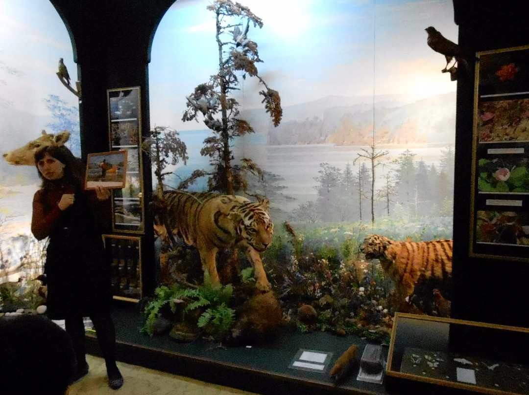 Sovetskaya Gavan Museum of Local Lore-Sovetskaya Gavan必去景点