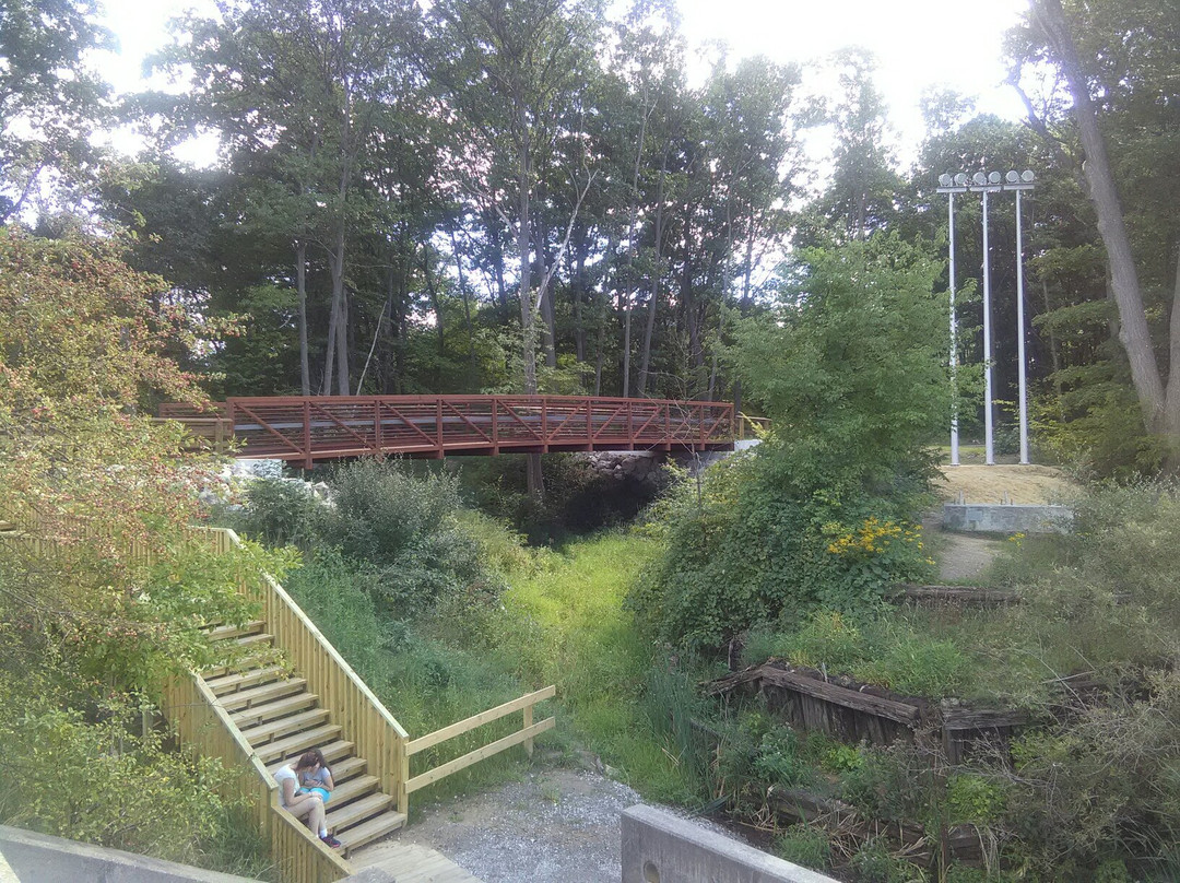 Stepping Stone Falls-弗林特必去景点