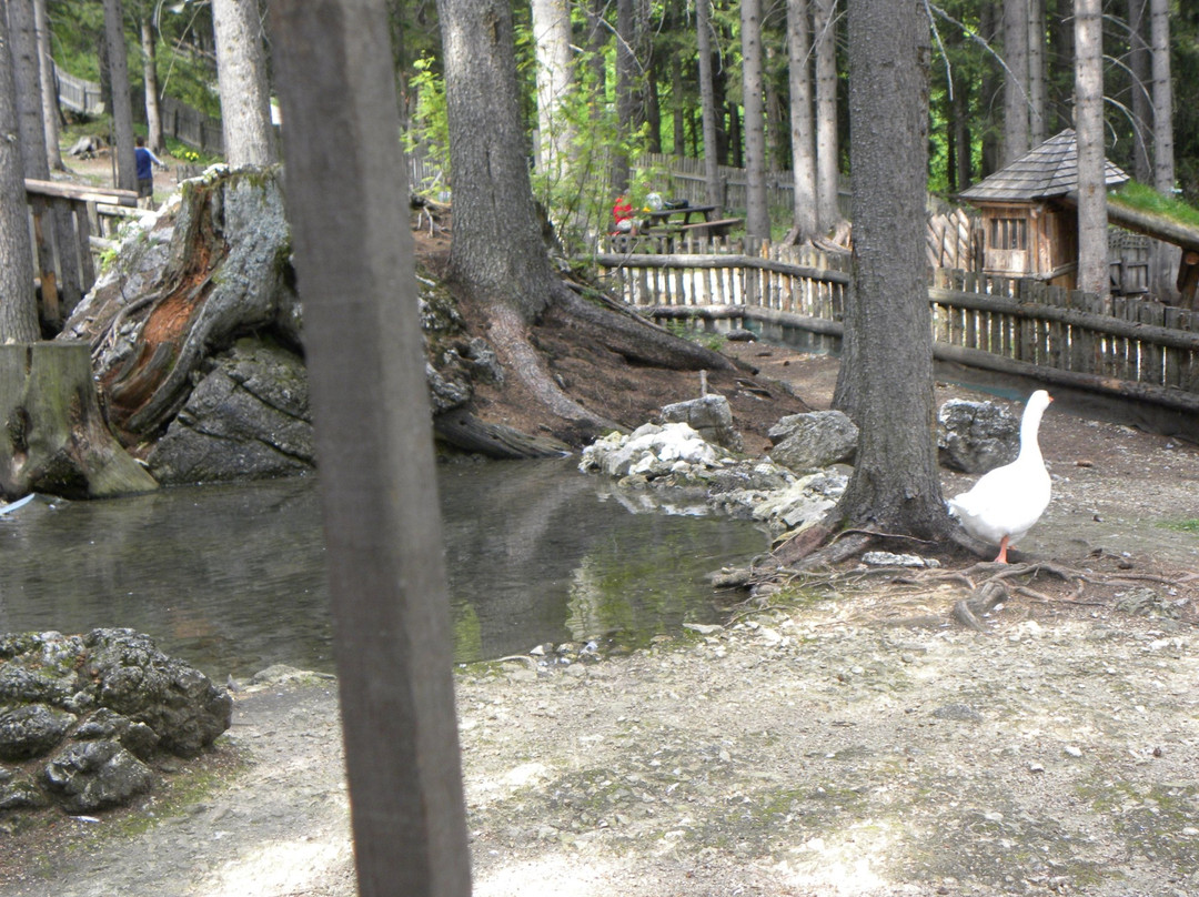 Parch di Colfosco-Colfosco必去景点