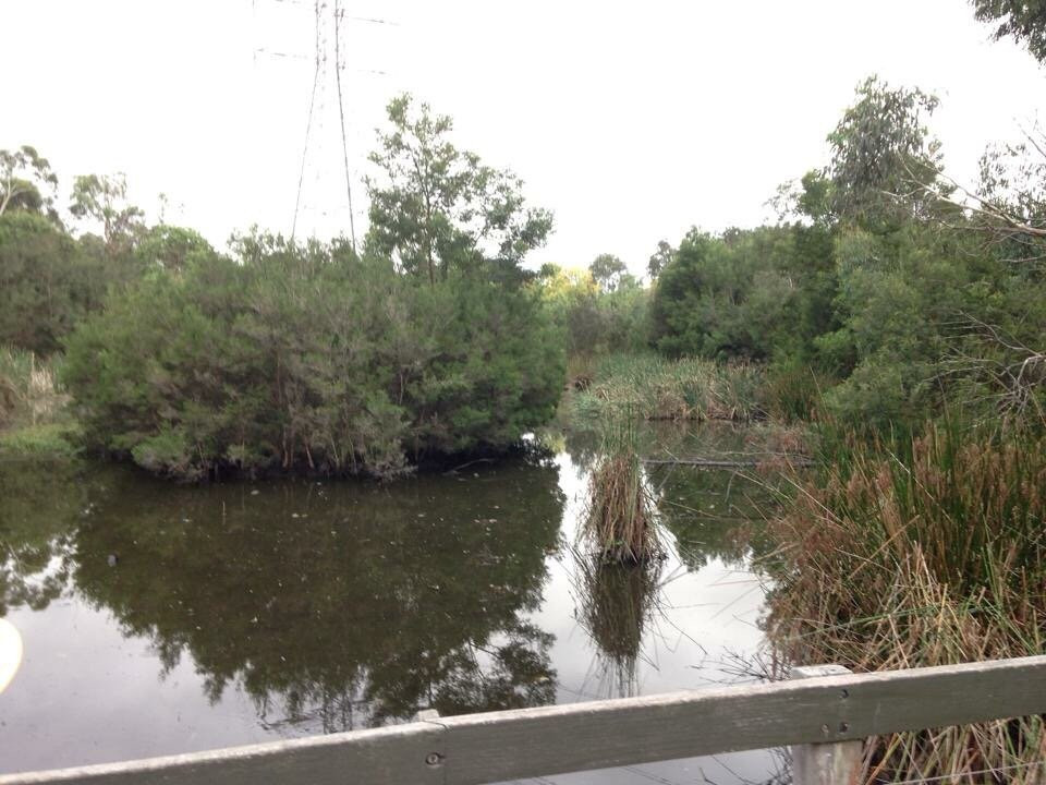 Glen Iris Park Wetlands景点图片