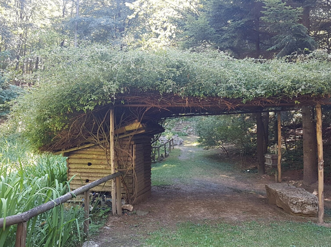 Giardino Botanico Di Pietra Corva景点图片