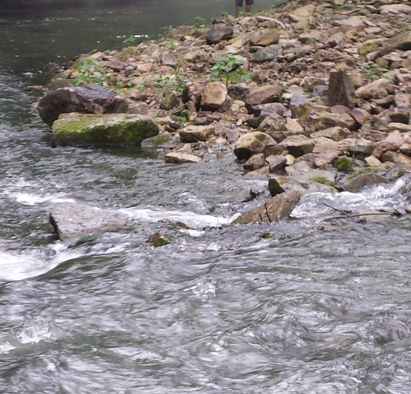 Bear Creek Public Access景点图片