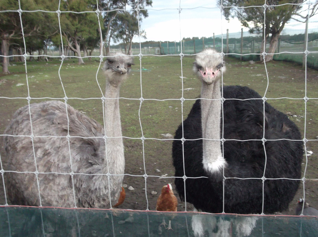 Fyffe View Ranch Adventure Park-Kaikoura必去景点