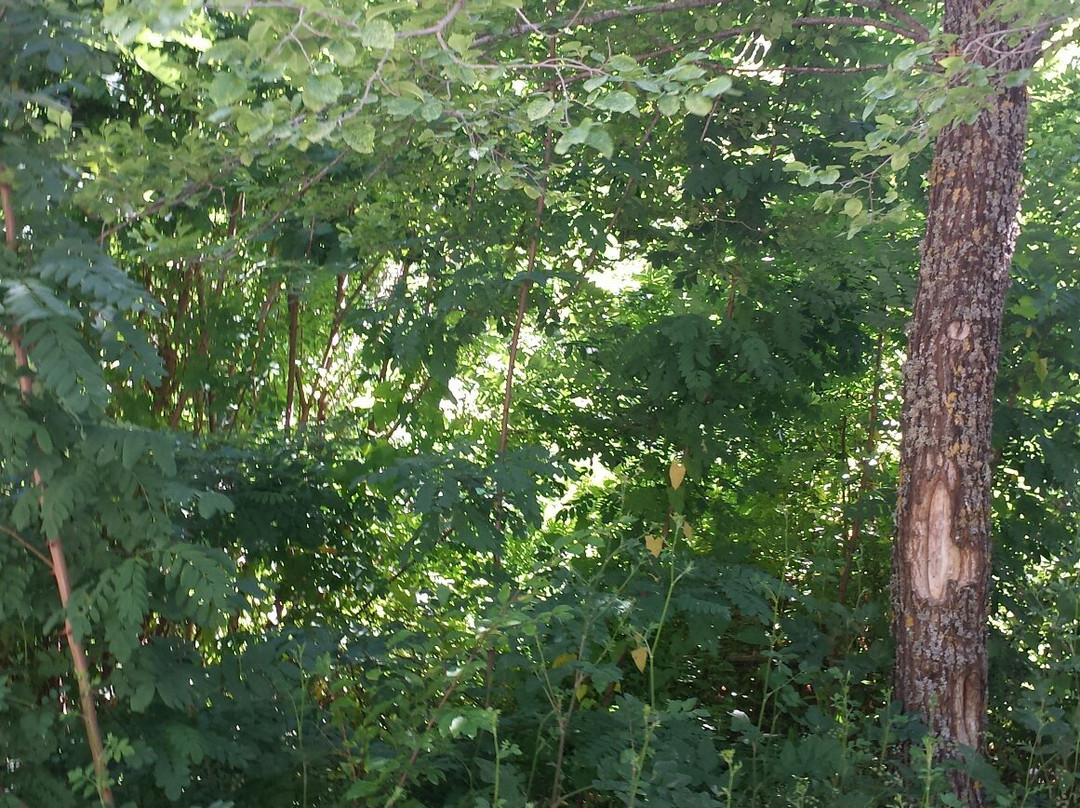 Orme nel Parco-Zagarise必去景点