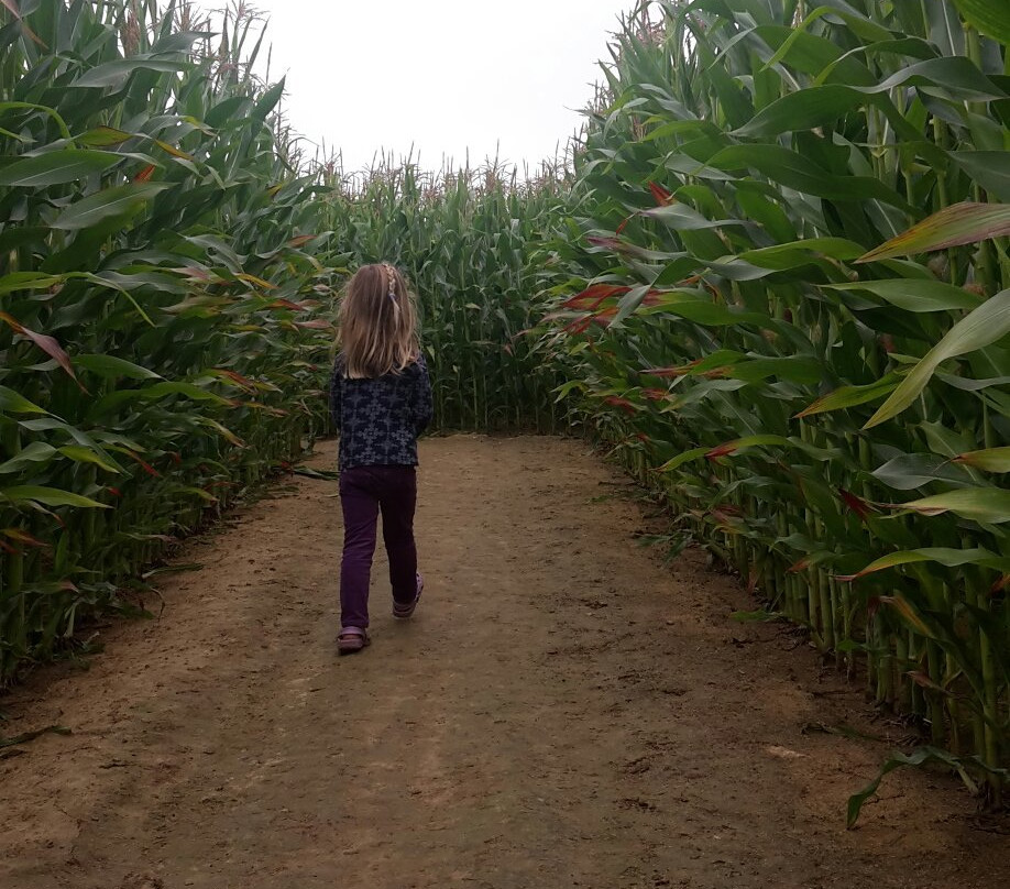 Le Labymais de la Brie-Saint Barthelemy d'Agenais必去景点
