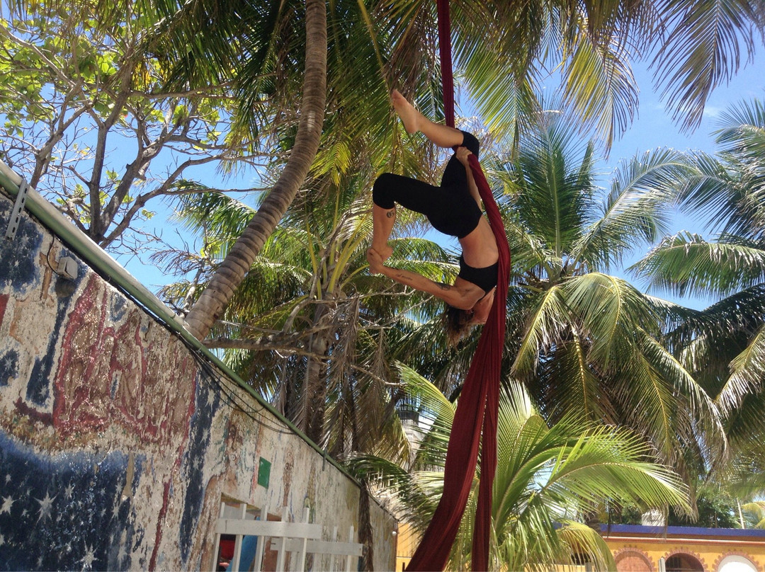 The Treehouse Yoga-女人岛必去景点