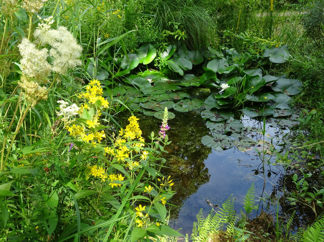 Vogelreservaat Polder IJdoorn景点图片