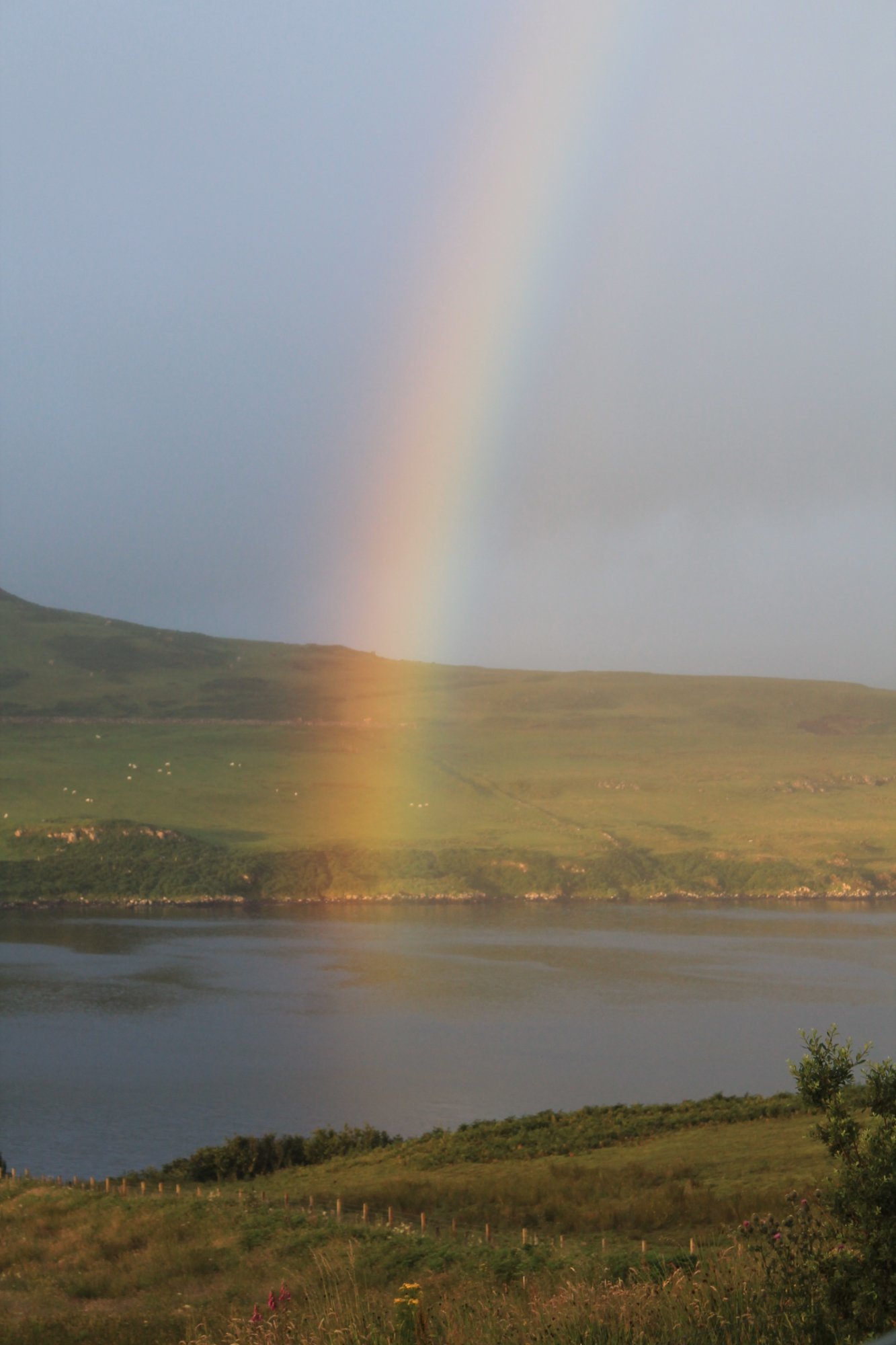 Loch View Bed & Breakfast-浴室