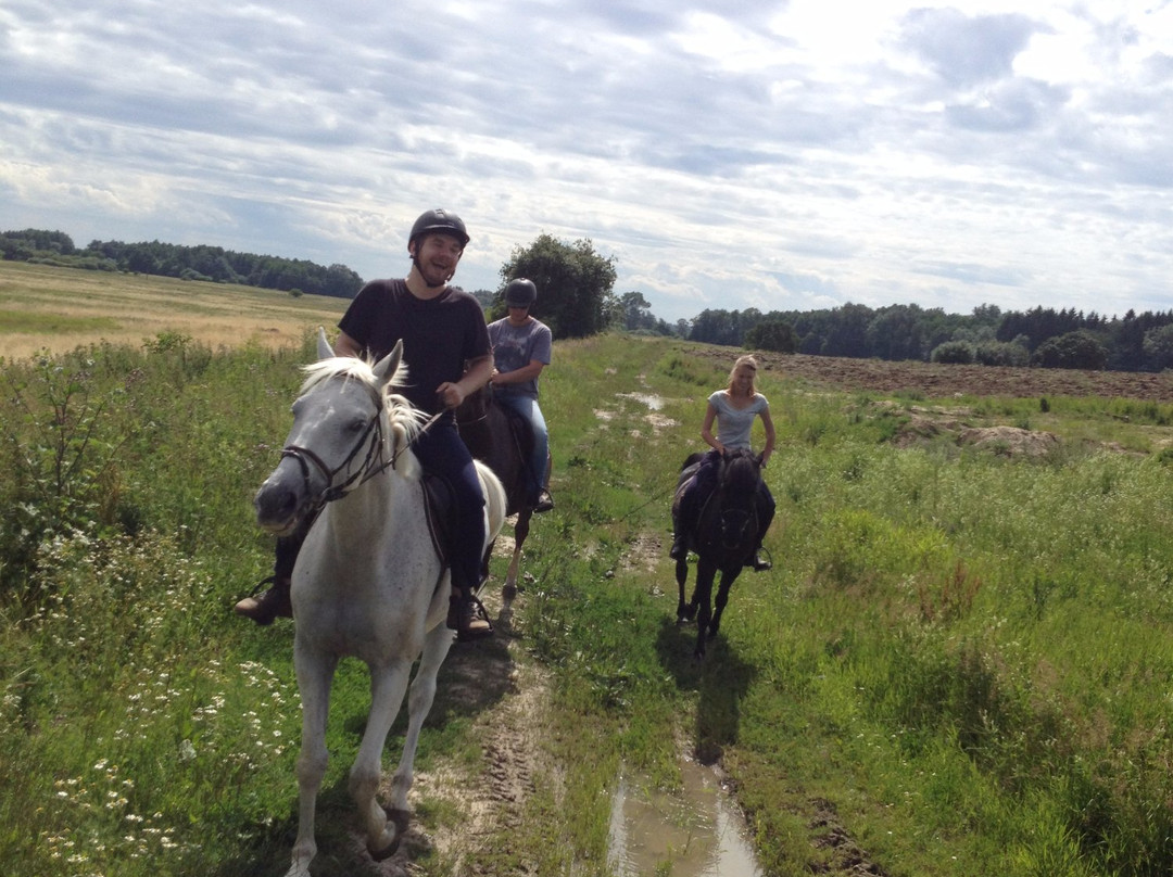 Felek Horse Riding景点图片