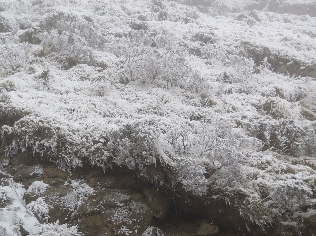 Drakensberg Nature Tours-安德堡必去景点