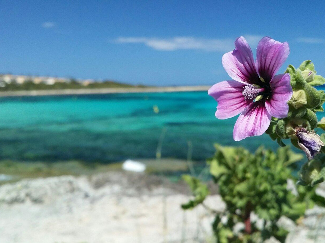 Barcelo Pueblo Menorca Water Park-Punta Prima必去景点