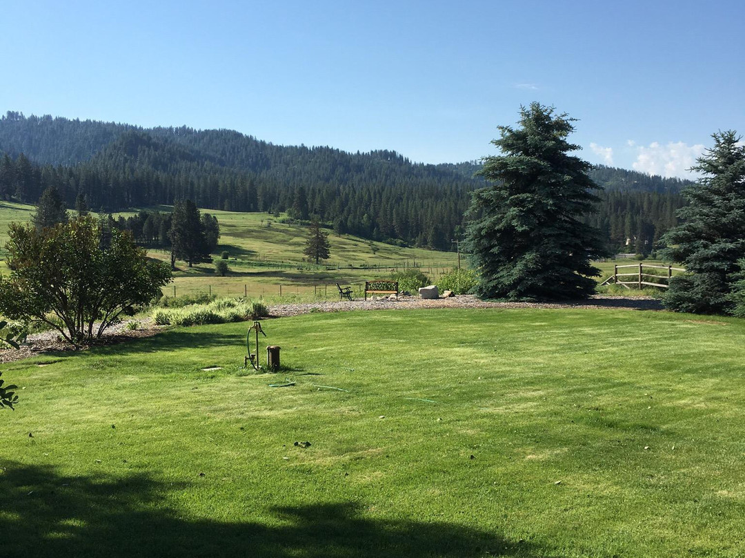 Walk on the Wild Side Bed and Breakfast主图