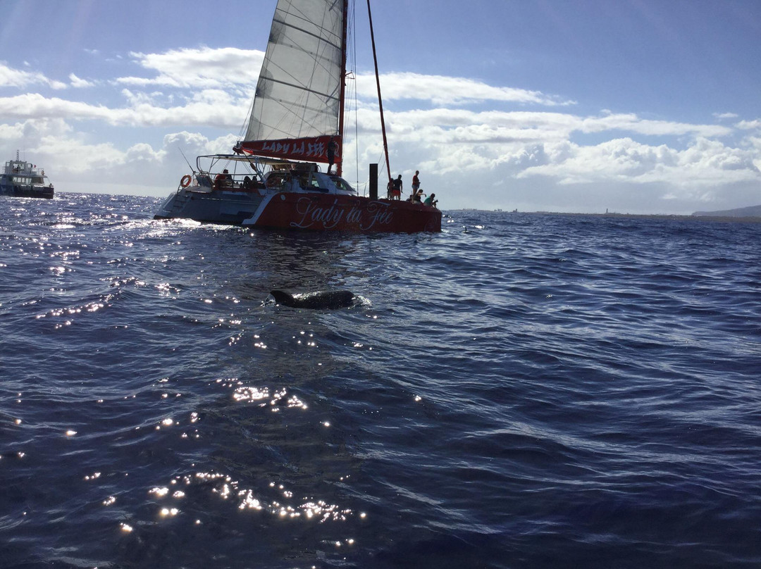 Lady La Fee-圣吉尔莱班必去景点