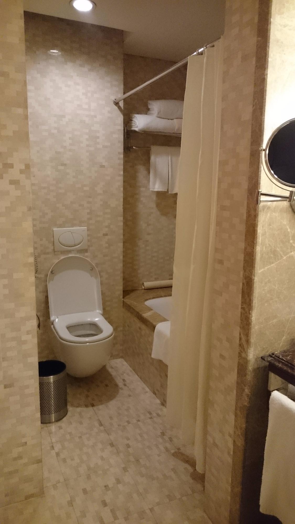 歌德大酒店-浴室